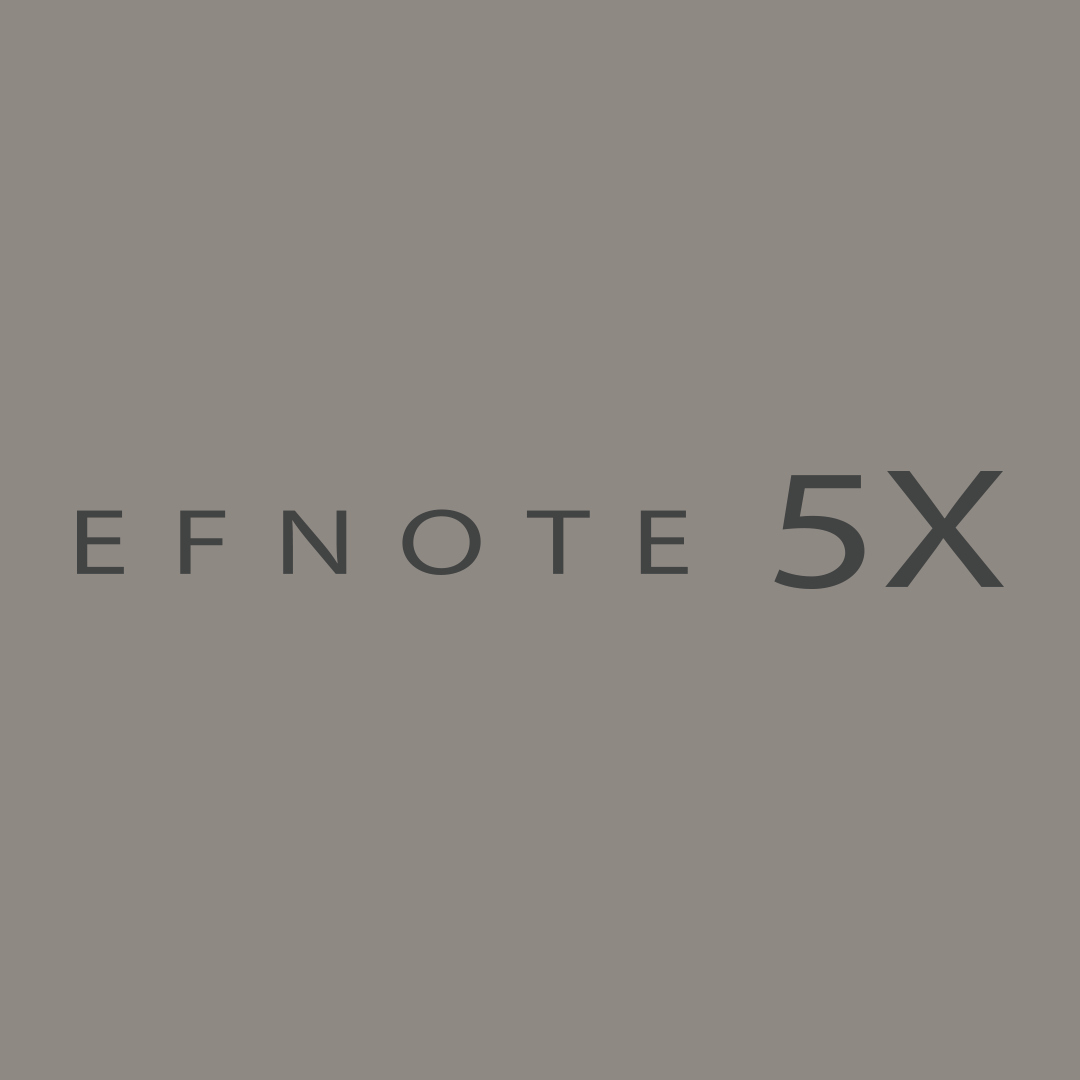 Electronic Drums EFNOTE 5X